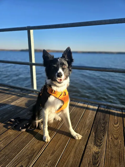 Tuttle Point Campground Picture 2