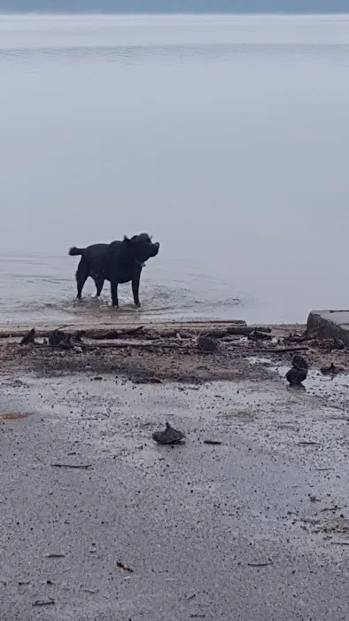 Tuttle Point Campground Picture 3