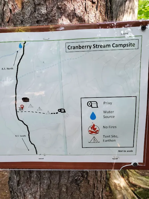Cranberry Stream Campsite Picture 9