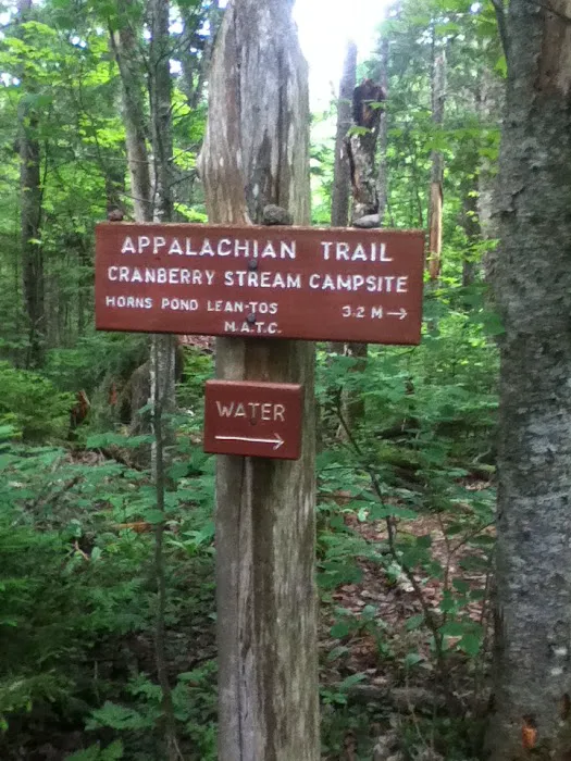 Cranberry Stream Campsite Picture 8