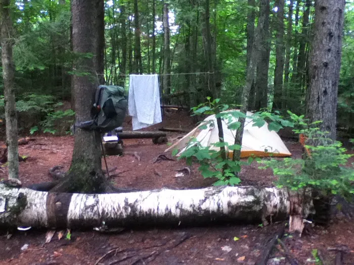 Cranberry Stream Campsite Picture 2