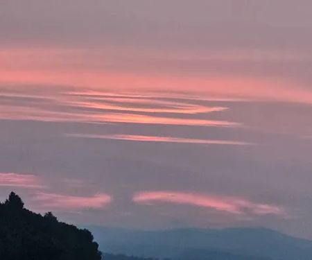 Cranberry Stream Campsite