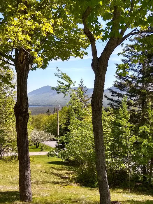 Cathedral Pines Camp Ground Picture 4