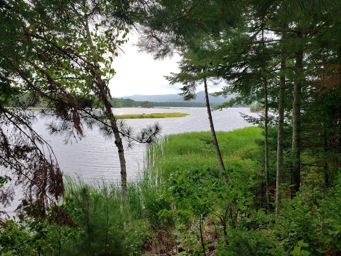 Cathedral Pines Camp Ground Picture 1