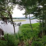 Cathedral Pines Camp Ground