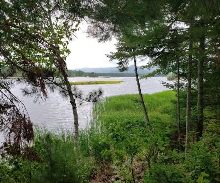 Cathedral Pines Camp Ground