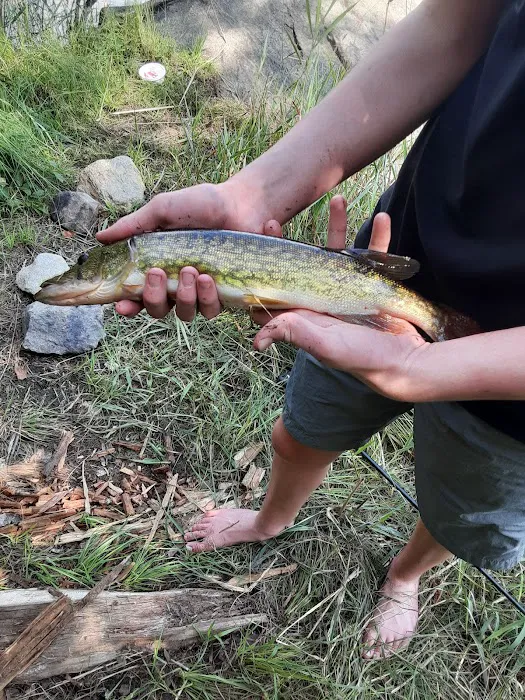 Trout Brook Campsites Picture 8