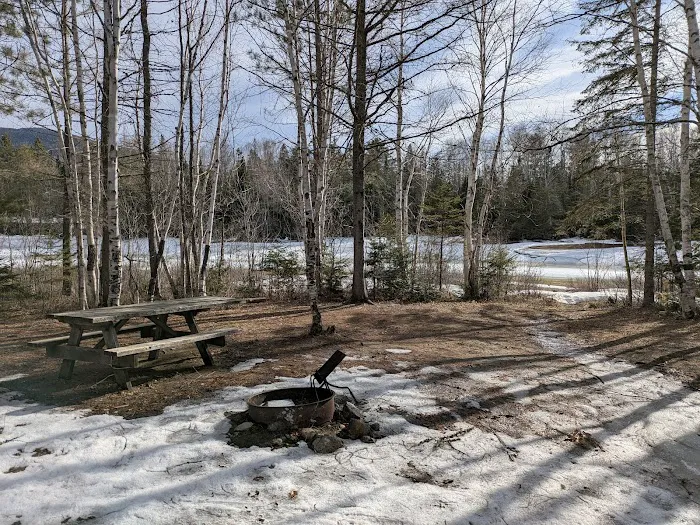 Trout Brook Campsites Picture 9