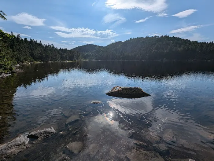 Horn Pond Campsite Picture 10