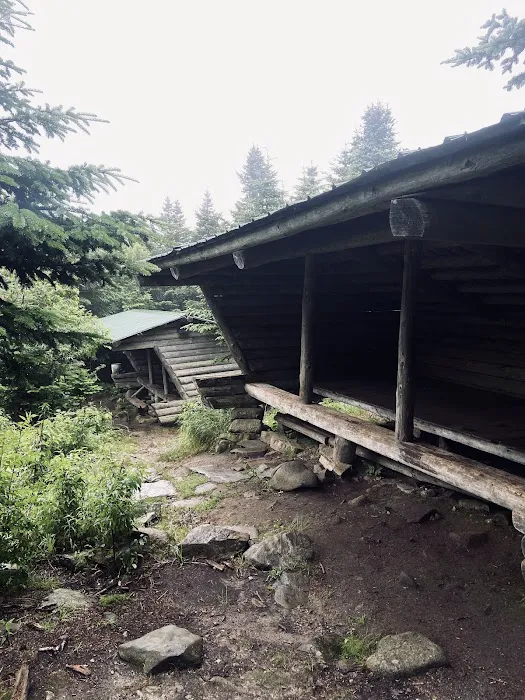Horn Pond Campsite Picture 1