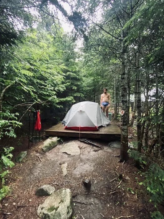 Horn Pond Campsite Picture 5
