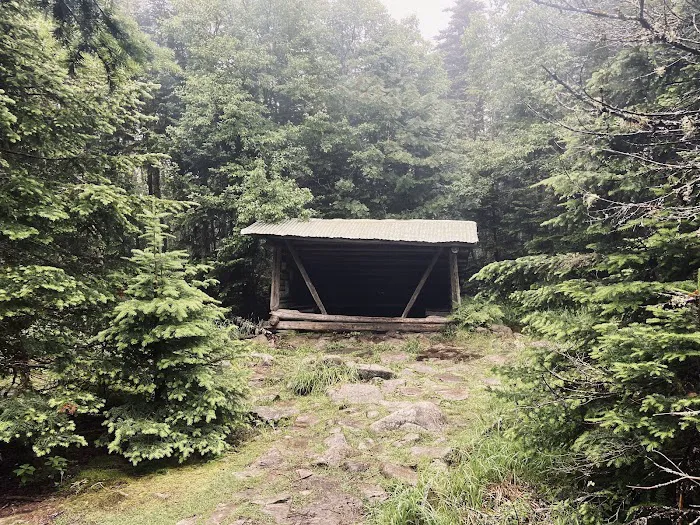 Horn Pond Campsite Picture 2