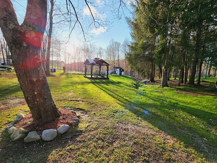 Martin Stream Campground Picture 3