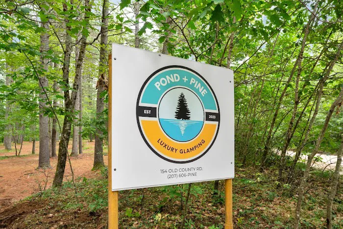 Pond+Pine Picture 7