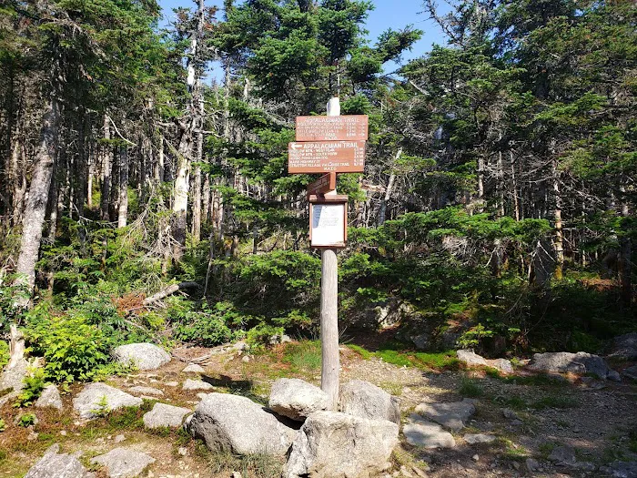 Bigelow Col Campsite 2010.7 Picture 8