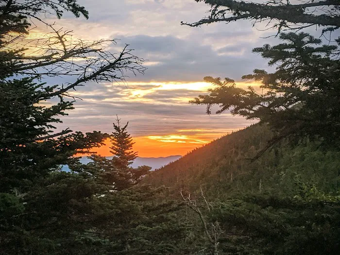 Bigelow Col Campsite 2010.7 Picture 2