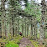 Bigelow Col Campsite 2010.7