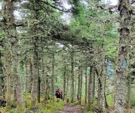 Bigelow Col Campsite 2010.7