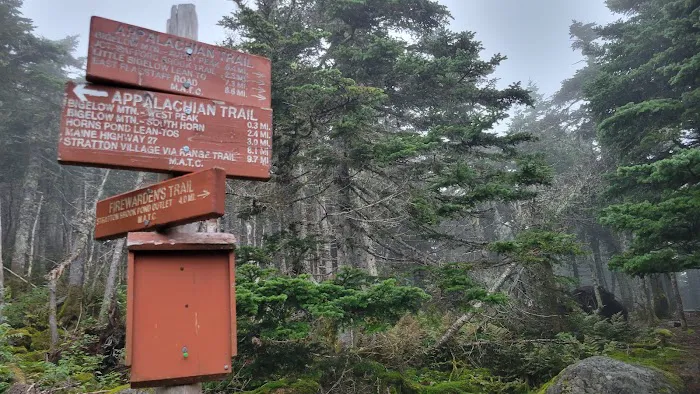 Bigelow Col Campsite 2010.7 Picture 4