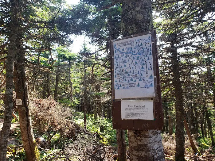 Bigelow Col Campsite 2010.7 Picture 7