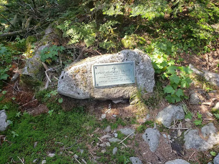 Bigelow Col Campsite 2010.7 Picture 6