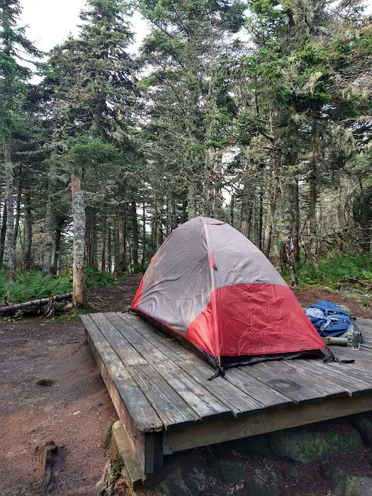 Bigelow Col Campsite 2010.7 Picture 3