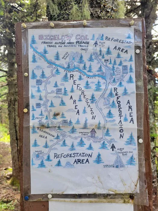 Bigelow Col Campsite 2010.7 Picture 9