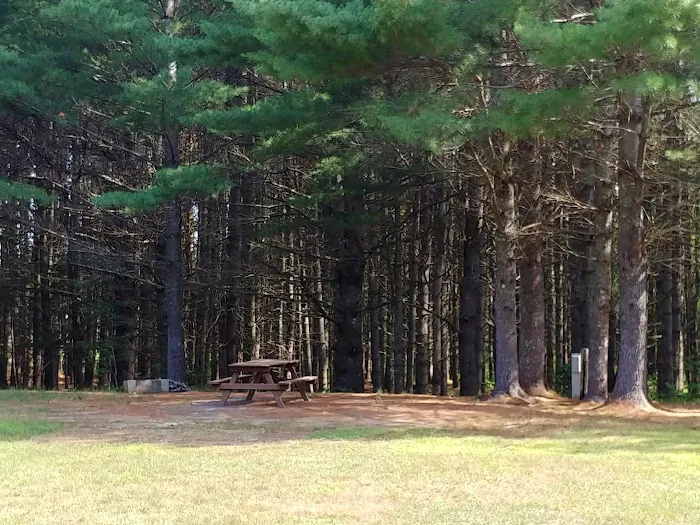 Happy Horseshoe Campground Picture 6