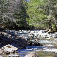 Pleasant Ridge Ranch ico