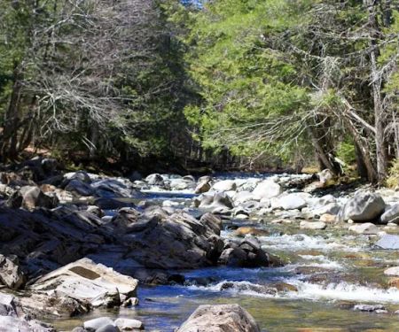 Pleasant Ridge Ranch