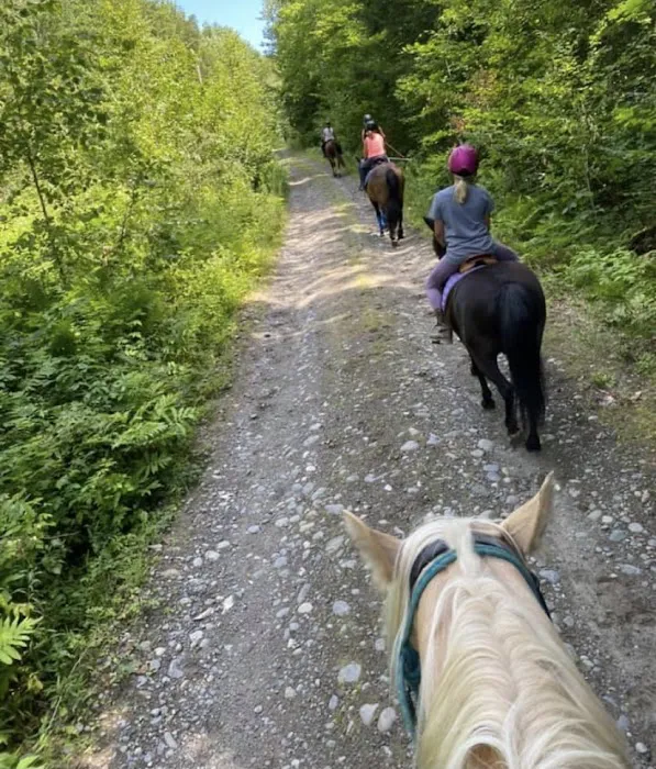 Eagle Nest campground and Rv park Picture 1