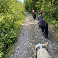 Eagle Nest campground and Rv park ico