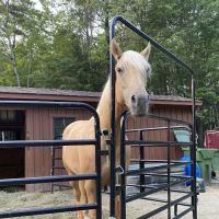Dude's Ranch Campground ico