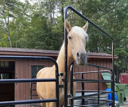 Dude's Ranch Campground