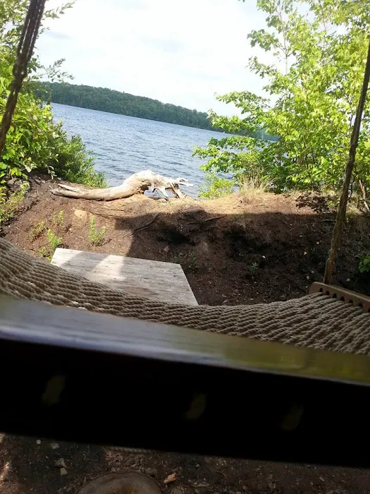 Naughty Dog Island Picture 9