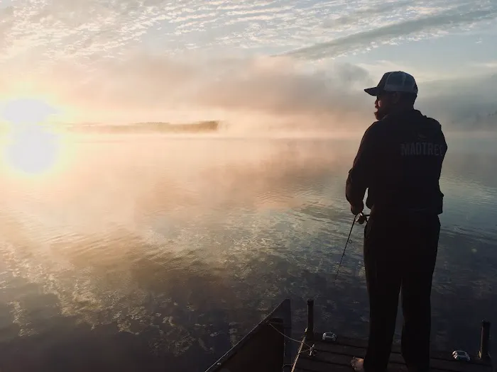 Naughty Dog Island Picture 1