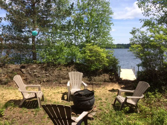 Naughty Dog Island Picture 2