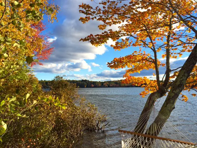 Naughty Dog Island Picture 3