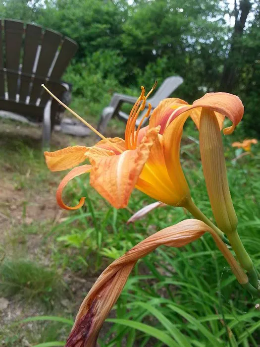 Naughty Dog Island Picture 7