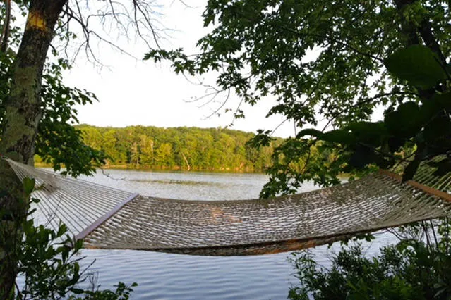 Naughty Dog Island Picture 8