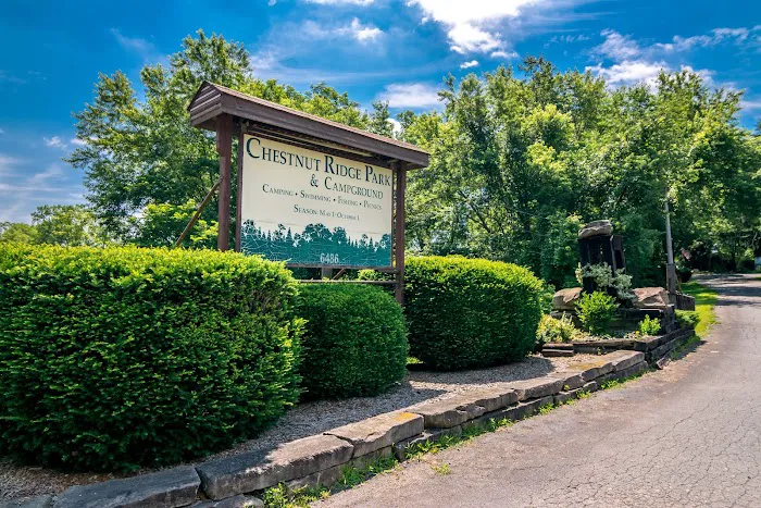 Chestnut Ridge Campground Picture 10