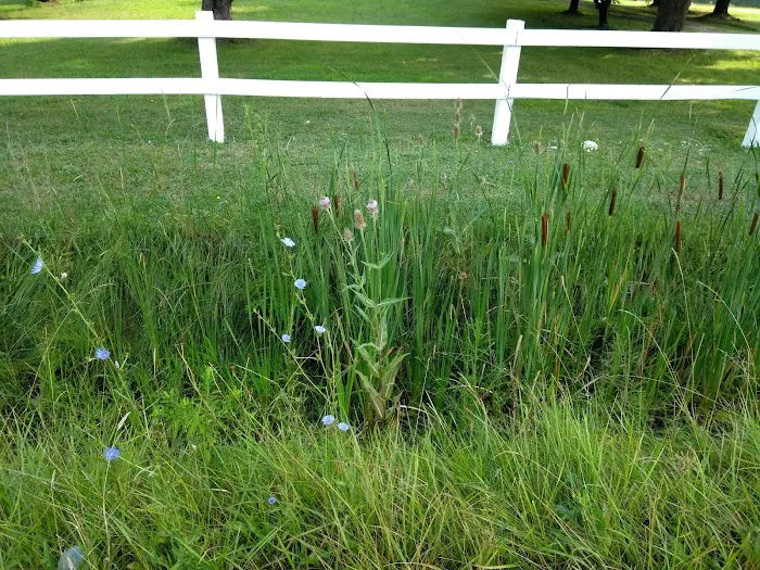 Shangri-LA by the Lake Campgroud Picture 1