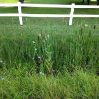 Shangri-LA by the Lake Campgroud ico