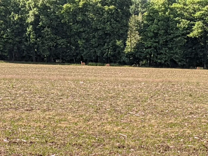 Whitehaven Campground Picture 6