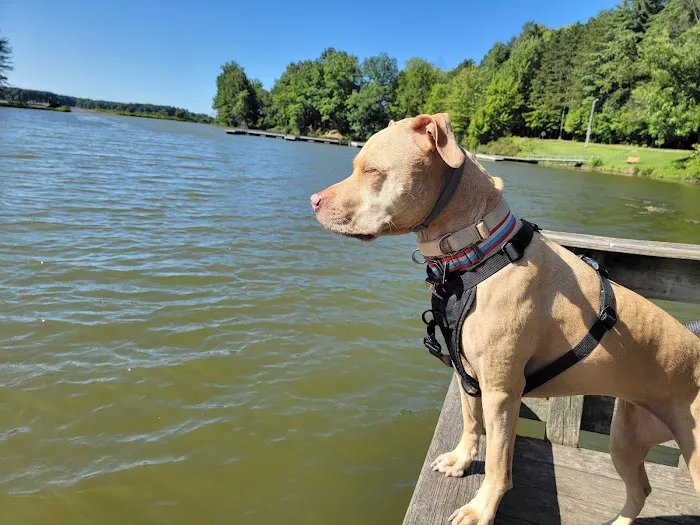 Pymatuning State Park Jamestown Cabins Picture 4