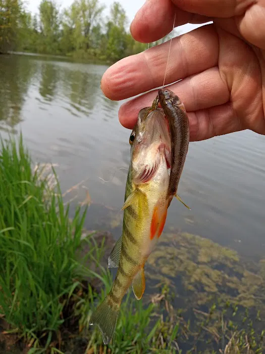 Pymatuning State Park Jamestown Cabins Picture 8