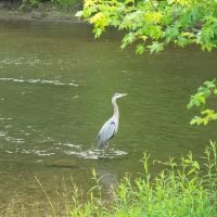 Pymatuning State Park Jamestown Cabins ico