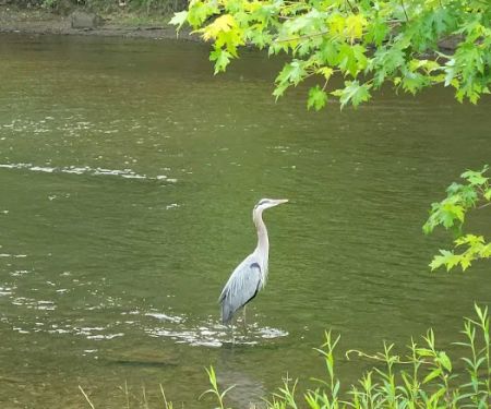 Pymatuning State Park Jamestown Cabins