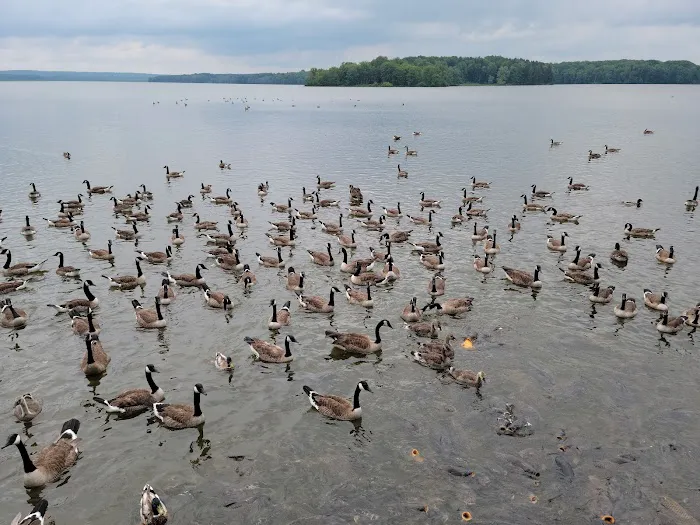 Pymatuning State Park Jamestown Cabins Picture 2
