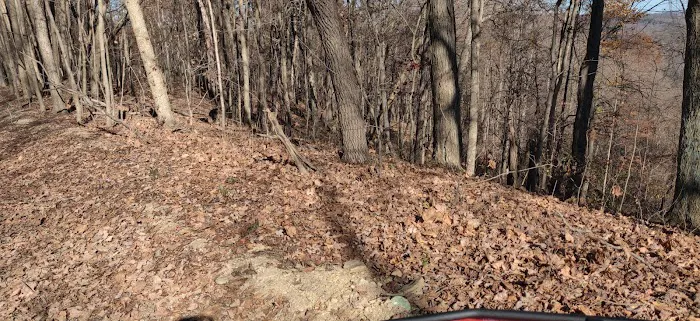 Four Seasons Resort & ATV Adventures Picture 3